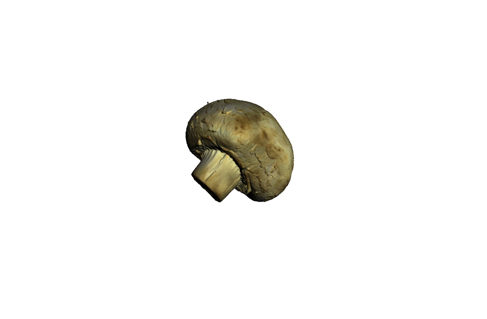 3d champignon mushroom https://p.turbosquid.com/ts-thumb/1A/ygI0cA/g4Yc09wE/2/png/1471864524/1920x1080/fit_q87/b384608a33df25bf0194be27e8c13d26de00786c/2.jpg