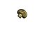 Champignon Mushroom