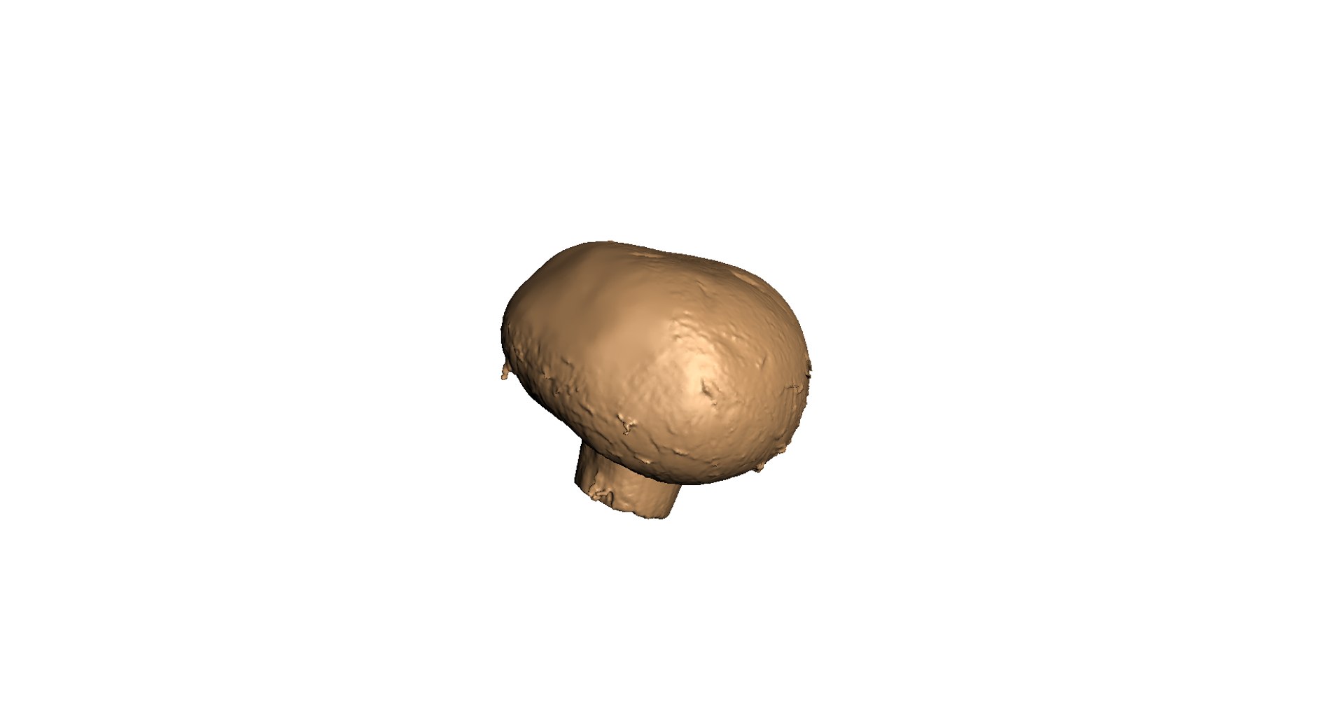 3d champignon mushroom https://p.turbosquid.com/ts-thumb/1A/ygI0cA/noija8C2/11/png/1471864524/1920x1080/fit_q87/6214cbf2cbdbd70f48f66a7b35340de59e99b533/11.jpg