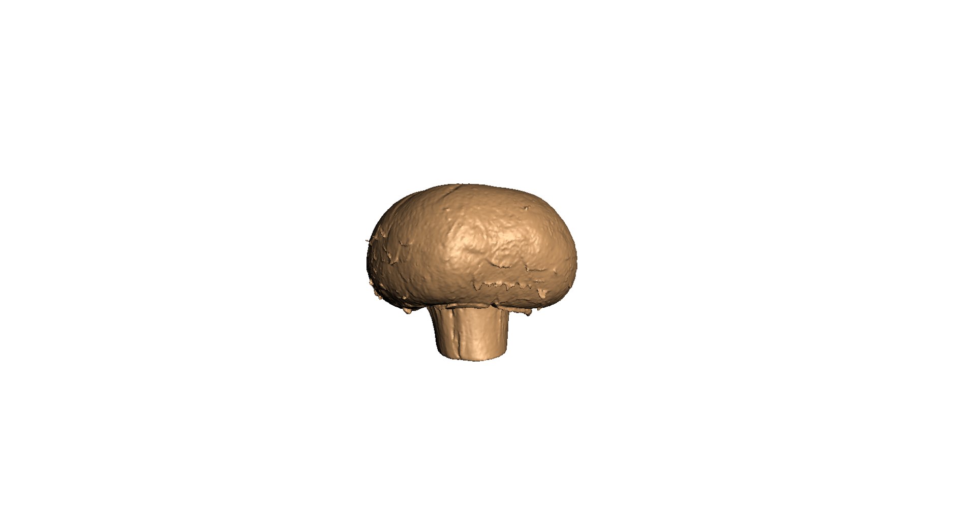 3d champignon mushroom https://p.turbosquid.com/ts-thumb/1A/ygI0cA/oM9VYqDi/12/png/1471864524/1920x1080/fit_q87/4bf0baec099bbe6fe736d09864794bdca174d67b/12.jpg