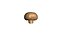 Champignon Mushroom