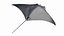 3D Manta Ray model