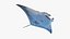 3D Manta Ray model