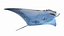3D Manta Ray model