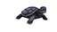 3D model Gray Turtle low poly