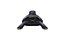 3D model Gray Turtle low poly