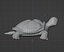 3D model Gray Turtle low poly
