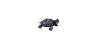 3D model Gray Turtle low poly