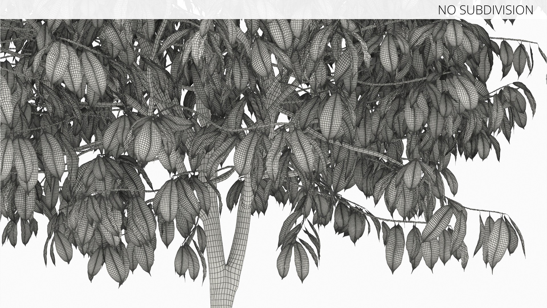 3D Theobroma Cacao Tree model https://p.turbosquid.com/ts-thumb/1B/LgpFin/QG/theobroma_cacao_tree_011/jpg/1777894187/1920x1080/fit_q87/3b7edcf9b703a1783a8a6395781d95051f28ef97/theobroma_cacao_tree_011.jpg