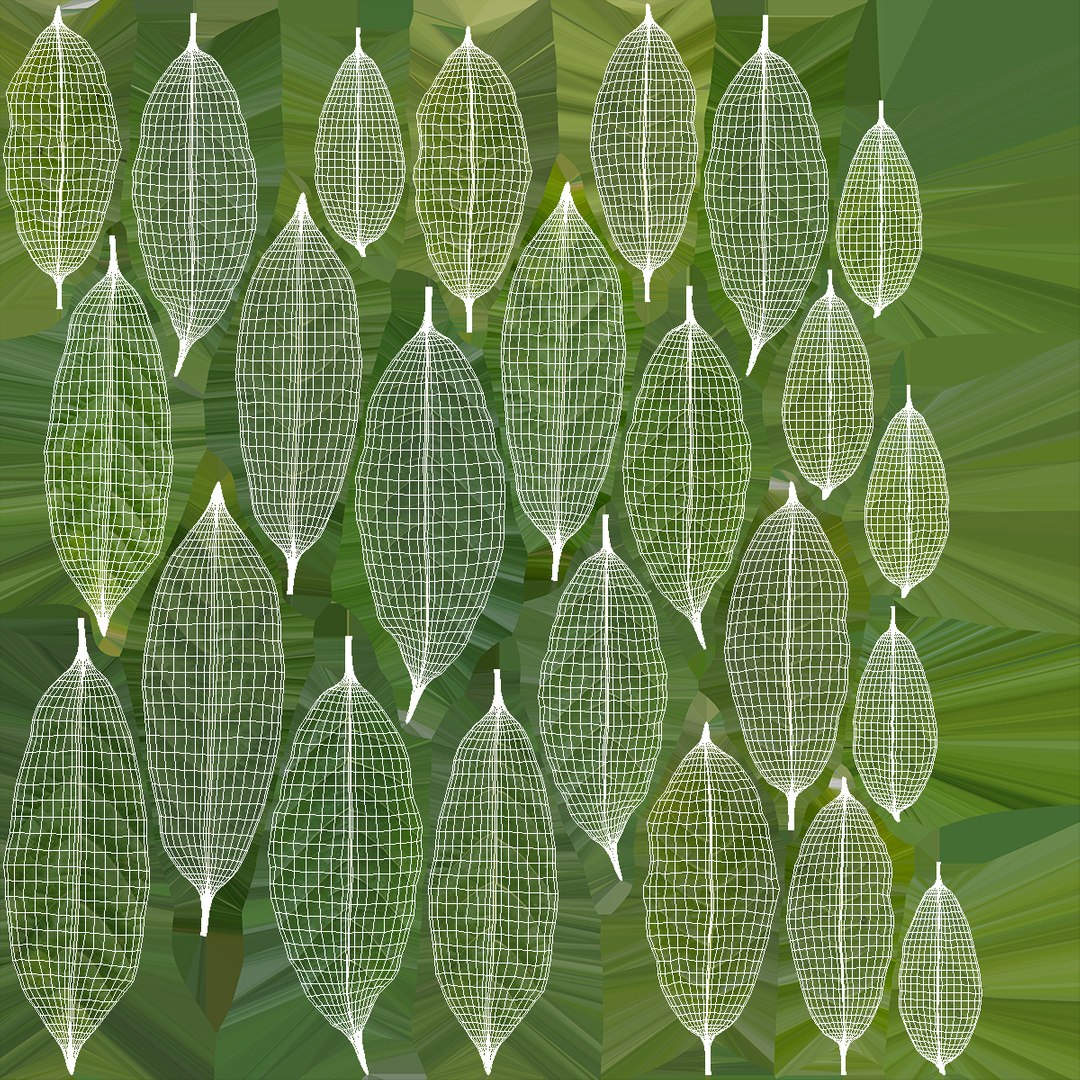 3D Theobroma Cacao Tree model https://p.turbosquid.com/ts-thumb/1B/LgpFin/Qm/theobroma_cacao_tree_014/jpg/1777894197/1920x1080/fit_q87/ae13dc823b34208b5350de771a7795954ac63cf8/theobroma_cacao_tree_014.jpg