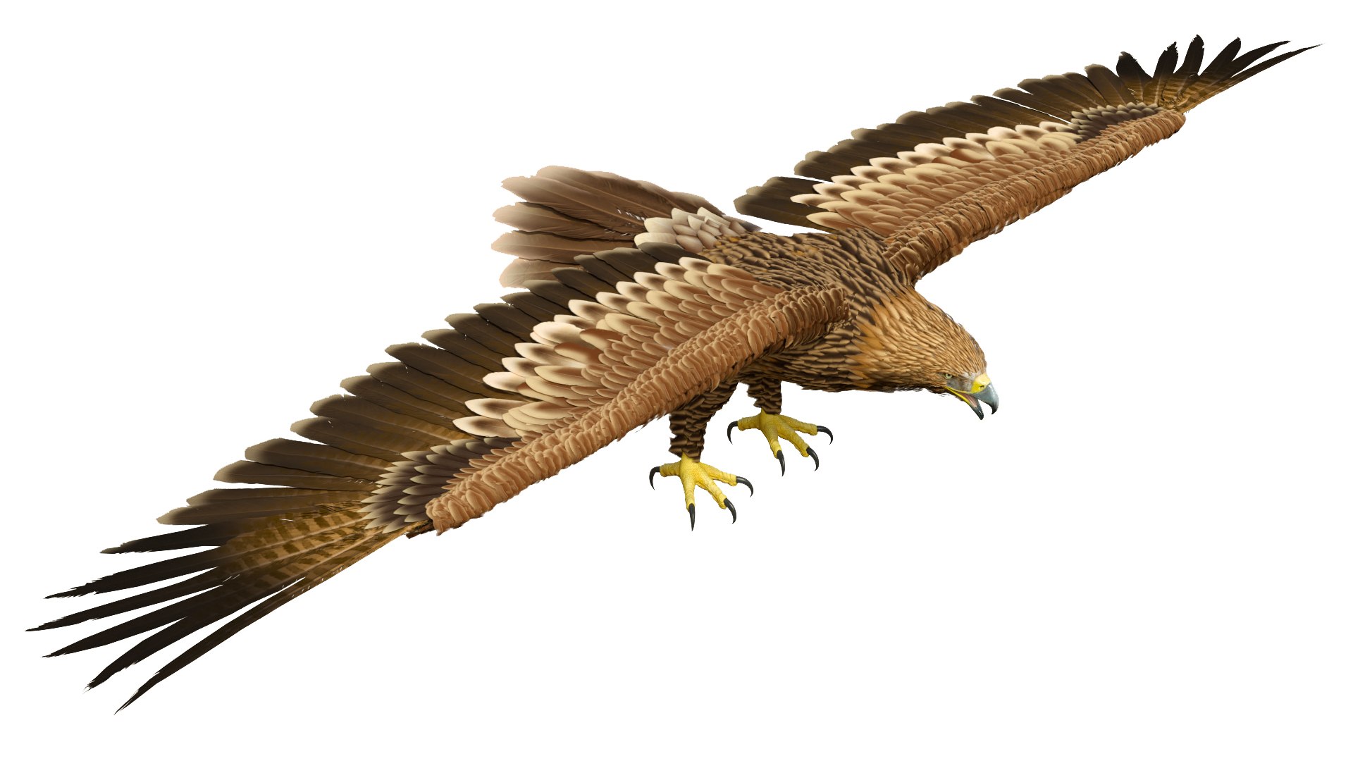 Imperial Eagle T Pose 3D model https://p.turbosquid.com/ts-thumb/1B/oZYwSK/Fj/imperialeagletpose3dmodel007/jpg/1719949381/1920x1080/fit_q87/90e2dd7bf573ebda6e109a9f3627cba94a6f398d/imperialeagletpose3dmodel007.jpg