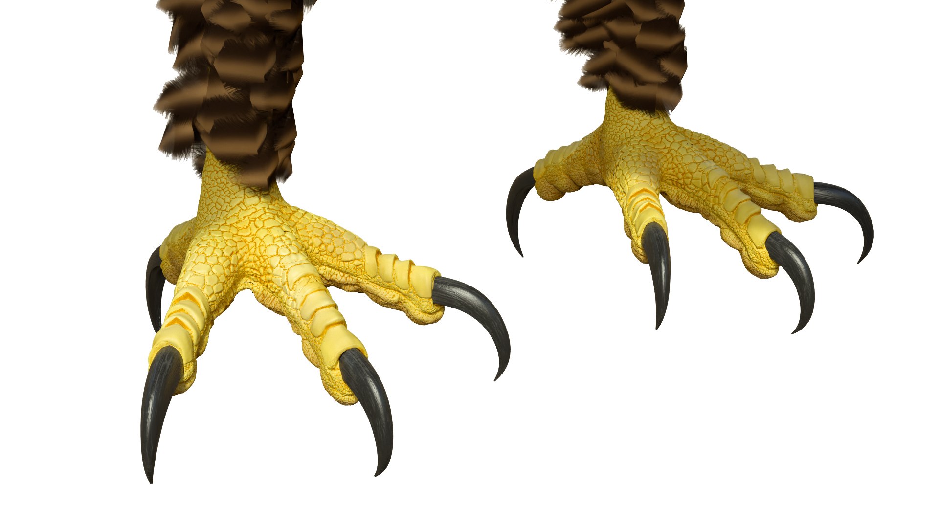 Imperial Eagle T Pose 3D model https://p.turbosquid.com/ts-thumb/1B/oZYwSK/Kr/imperialeagletpose3dmodel011/jpg/1719949407/1920x1080/fit_q87/f3e99c4e2d265f24d05def16911b2c92bc2de45a/imperialeagletpose3dmodel011.jpg