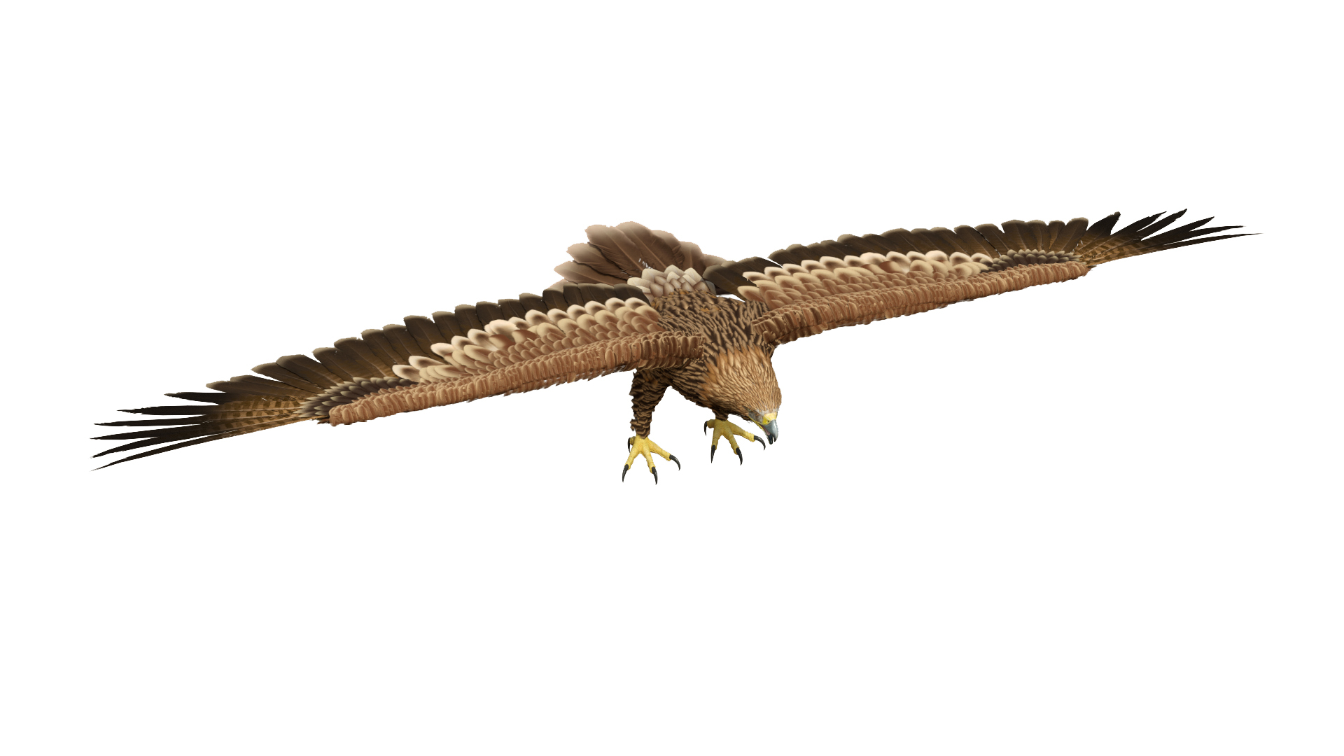 Imperial Eagle T Pose 3D model https://p.turbosquid.com/ts-thumb/1B/oZYwSK/Wm/imperial_eagle_t_pose_360/jpg/1719949015/1920x1080/turn_fit_q99/a033396c8932524243424ef39c9cd9da25eb4aae/imperial_eagle_t_pose_360-1.jpg
