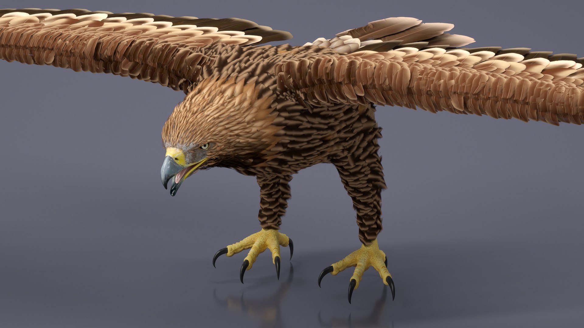 Imperial Eagle T Pose 3D model https://p.turbosquid.com/ts-thumb/1B/oZYwSK/Xm/imperialeagletpose3dmodel005/jpg/1719949365/1920x1080/fit_q87/862260e1a03ebbe8fe3e505e92a410062e1a451c/imperialeagletpose3dmodel005.jpg