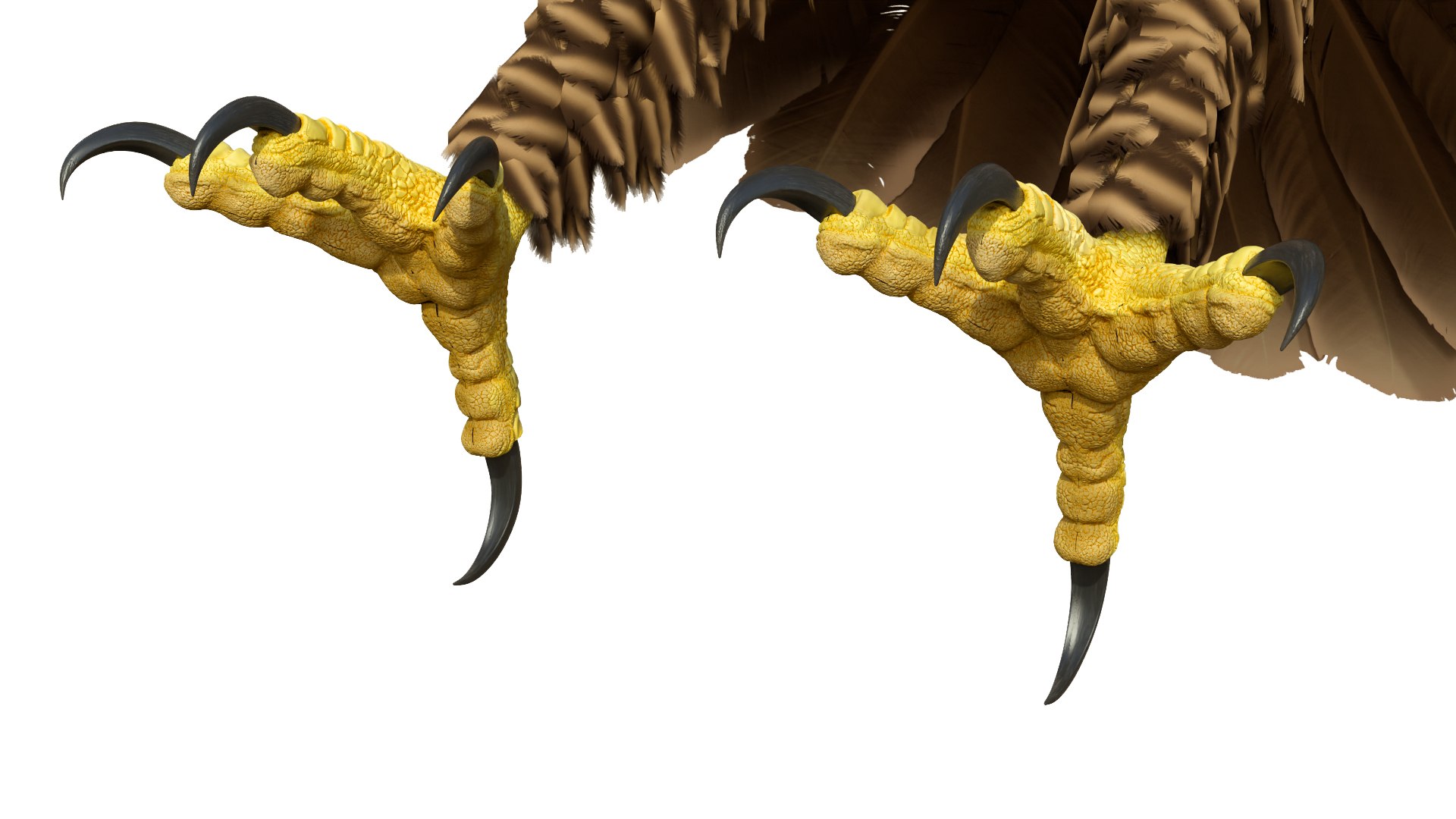 Imperial Eagle T Pose 3D model https://p.turbosquid.com/ts-thumb/1B/oZYwSK/fD/imperialeagletpose3dmodel012/jpg/1719949413/1920x1080/fit_q87/c89361a8db934160ea26149dfeae1e10f1ab5341/imperialeagletpose3dmodel012.jpg