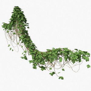 3D model ivy pbr branches