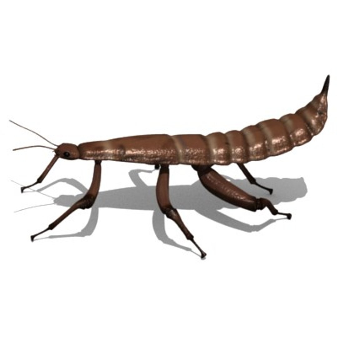 spectre insect 3d model