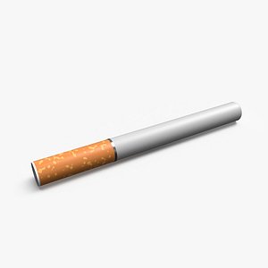 Disposable Electronic Cigarette 3D model