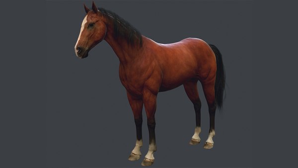 Estilo de cabelo comprido com rabo de cavalo alto preto feminino realista  Modelo 3D - TurboSquid 1817154
