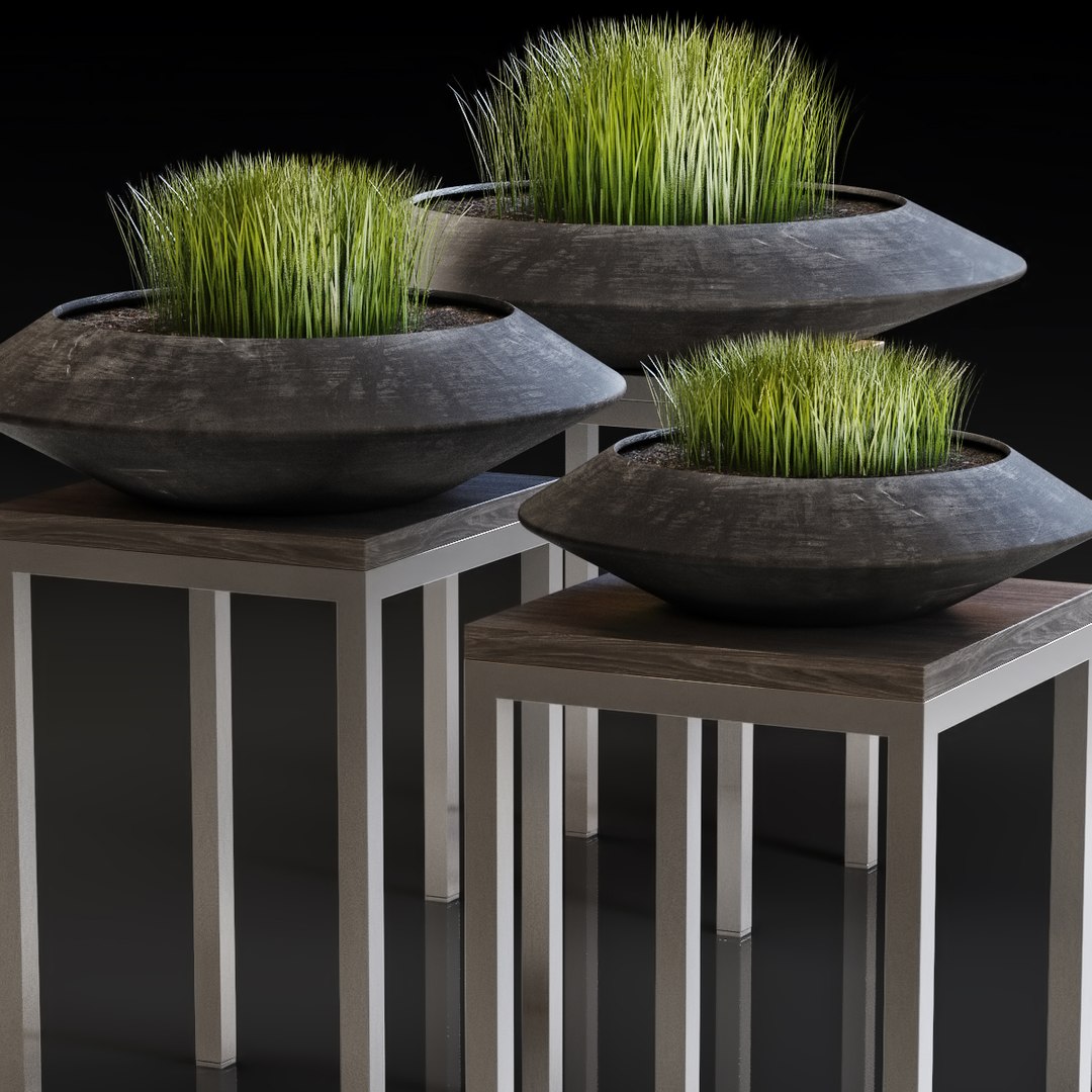 3D stylish black vase grass https://p.turbosquid.com/ts-thumb/1D/4mfWNf/0vR9yNKp/big_2/jpg/1587462738/1920x1080/fit_q87/b8a461f42dbcbb25e2e713132994633599253243/big_2.jpg