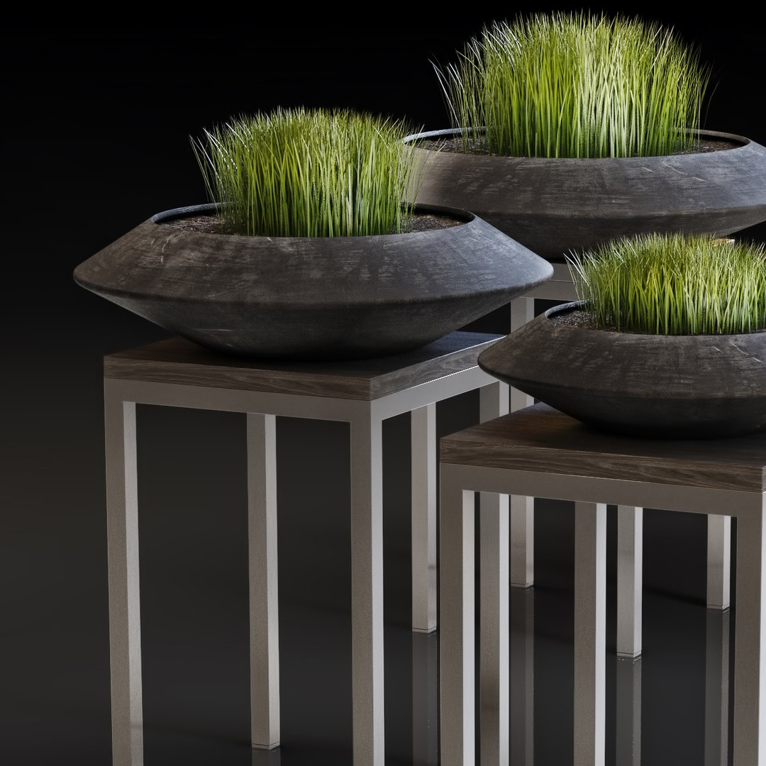 3D stylish black vase grass https://p.turbosquid.com/ts-thumb/1D/4mfWNf/2CW6kZQO/big_4/jpg/1587462738/1920x1080/fit_q87/f023552b500d1d0066e02fb4551d8cb9145bf9d1/big_4.jpg
