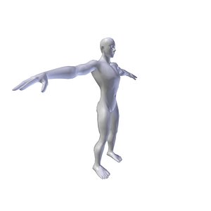 Anime Male basemesh Collection 3D model