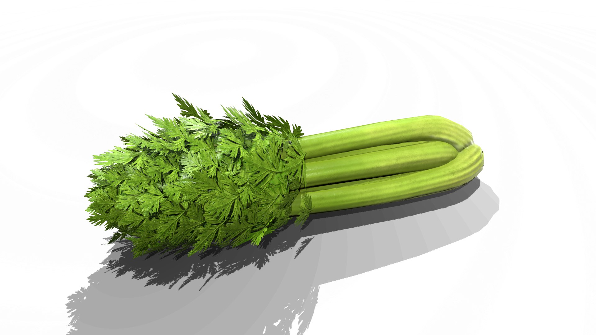 Celery 3D Model - TurboSquid 2052262