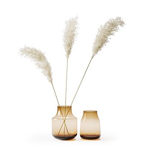 bouquet grass pampas 3D