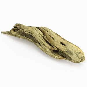 driftwood wood 3d max