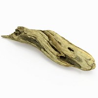 Driftwood 04