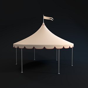 canopy 3D model