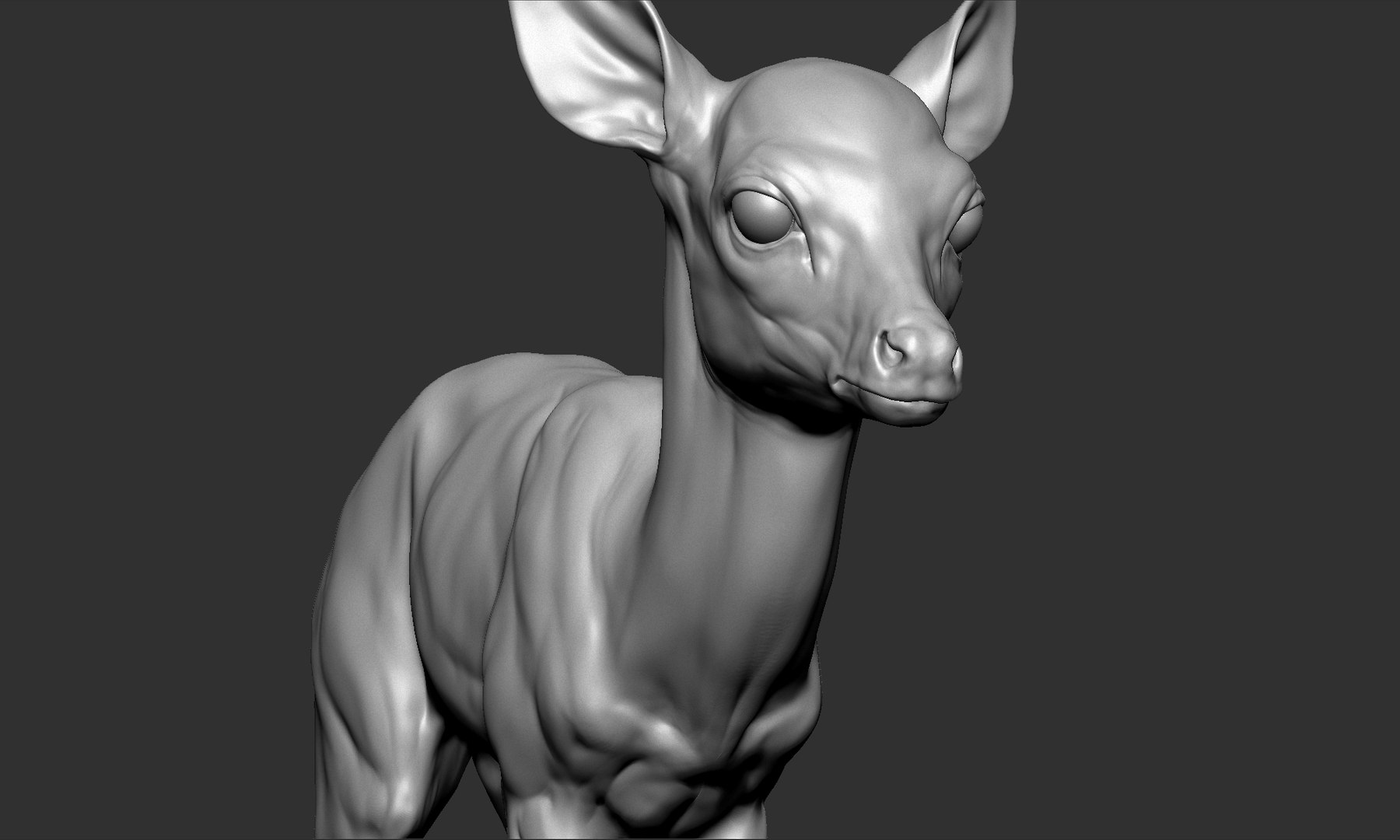 Fawn Deer Small Model - TurboSquid 1467352
