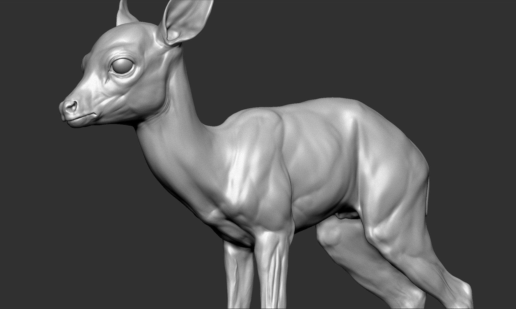 Fawn Deer Small Model - TurboSquid 1467352