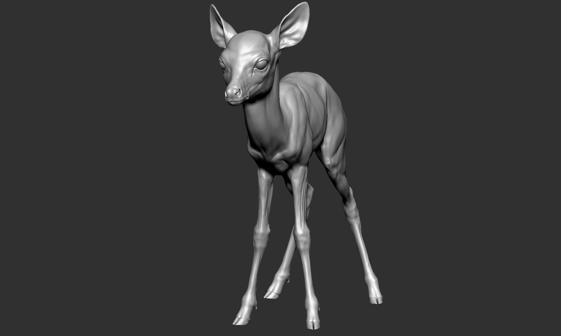Fawn Deer Small Model - TurboSquid 1467352