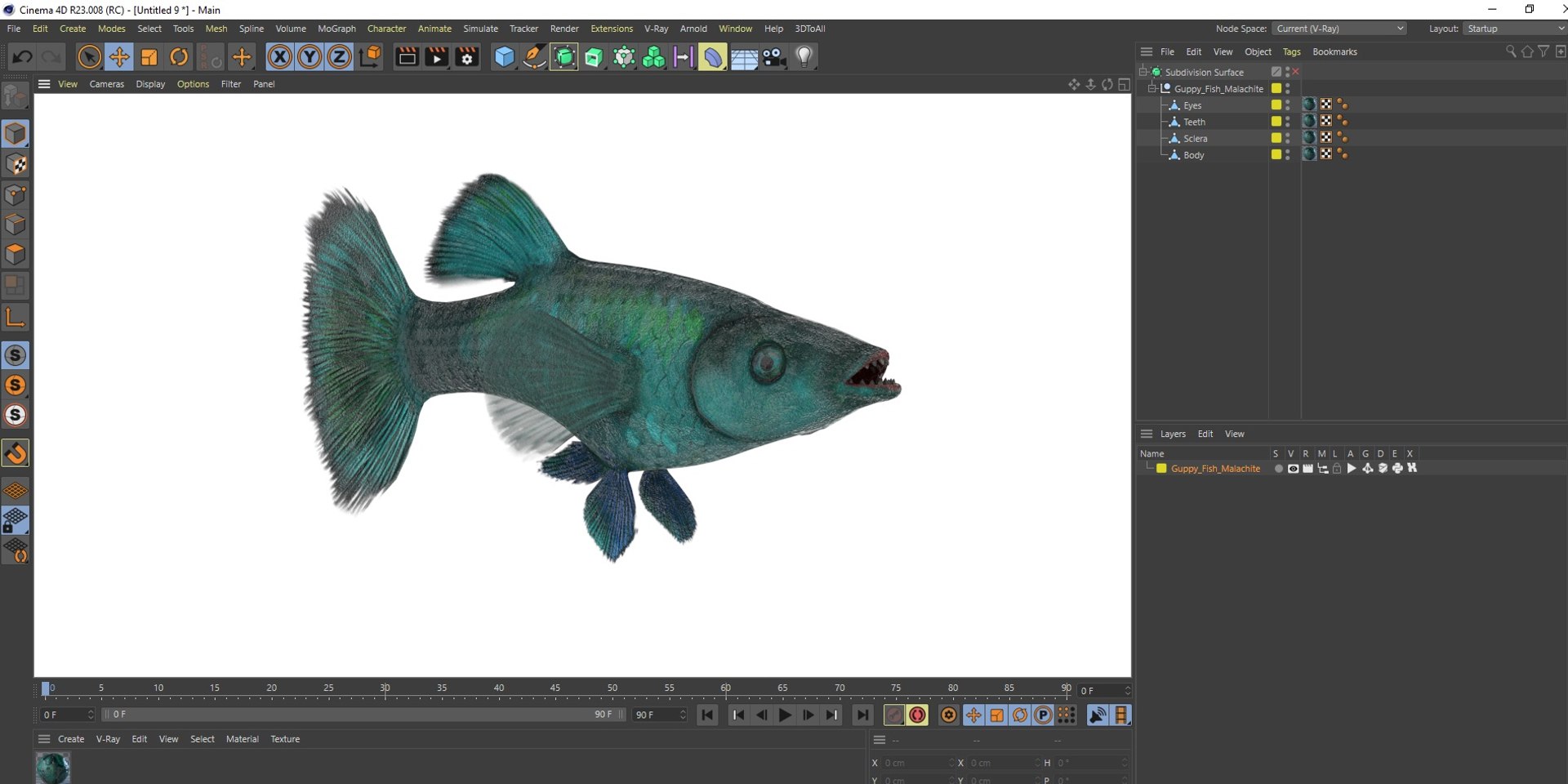 Guppy Fish Malachite 3D model https://p.turbosquid.com/ts-thumb/1D/e0lHI5/H5/guppyfishmalachite3dmodel030/jpg/1724909621/1920x1080/fit_q87/02fb24f1504f66331ac573cbcbbc8df846558c83/guppyfishmalachite3dmodel030.jpg
