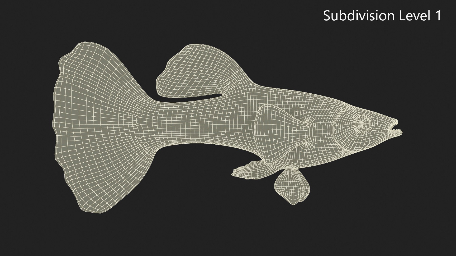 Guppy Fish Malachite 3D model https://p.turbosquid.com/ts-thumb/1D/e0lHI5/Qh/guppyfishmalachite3dmodel019/jpg/1724909586/1920x1080/fit_q87/f11282934eea315c34b7fb15cb34b55444fb0575/guppyfishmalachite3dmodel019.jpg