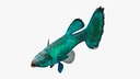 Guppy Fish Malachite