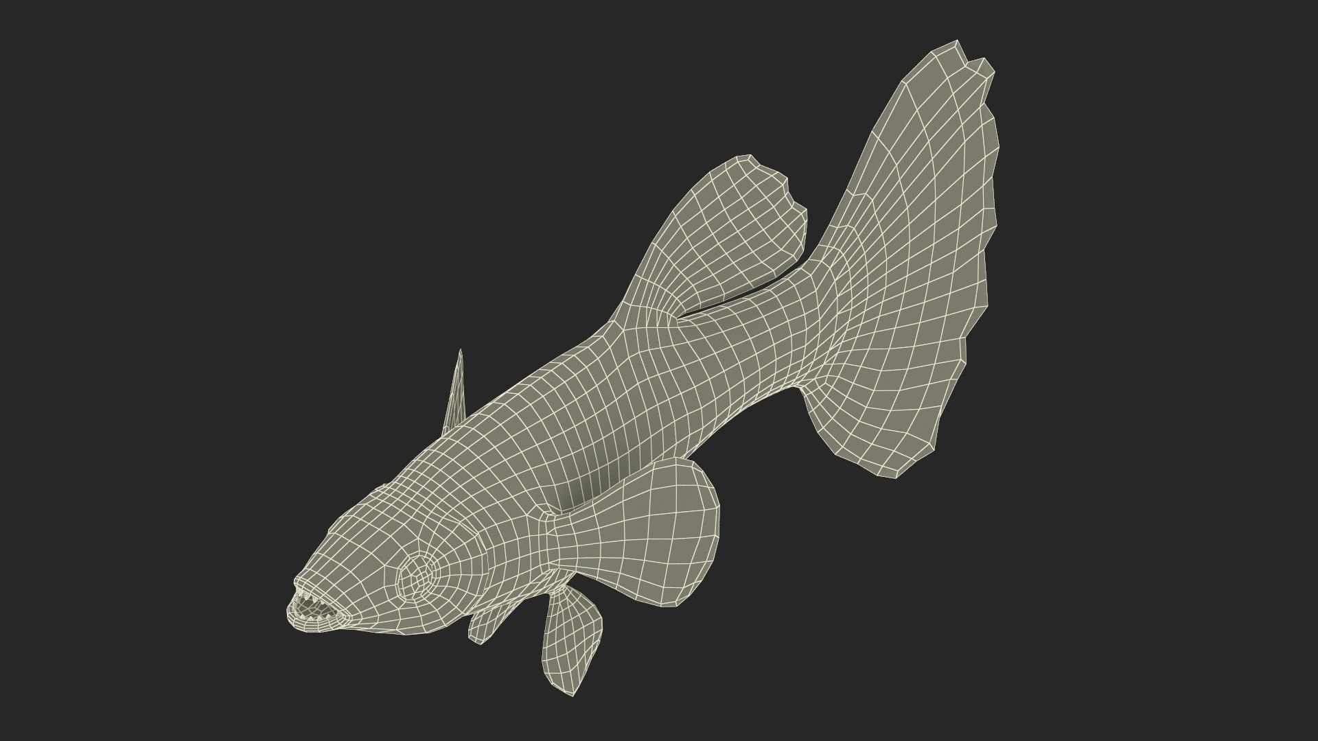 Guppy Fish Malachite 3D model https://p.turbosquid.com/ts-thumb/1D/e0lHI5/XP/guppyfishmalachite3dmodel023/jpg/1724909599/1920x1080/fit_q87/889cec73e18f5d15665ef006e0391ae2e86f0dc9/guppyfishmalachite3dmodel023.jpg