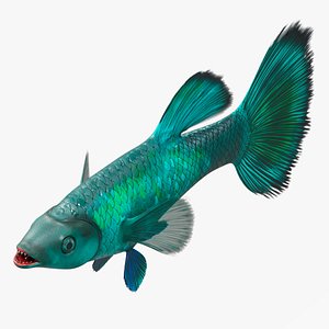 Guppy Fish Malachite 3D model