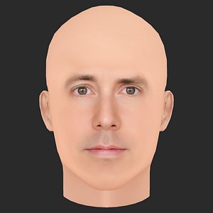 3D Low Poly Tom Morton Head