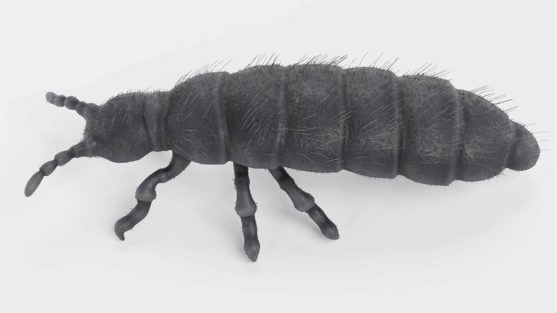 3D Insect - Huge Collection https://p.turbosquid.com/ts-thumb/1D/fhDmtP/0k9Q0ik8/snowfleab/png/1662203854/1920x1080/fit_q87/5a9416d6c6d8fe2338df072218fd3253ccc67a5e/snowfleab.jpg