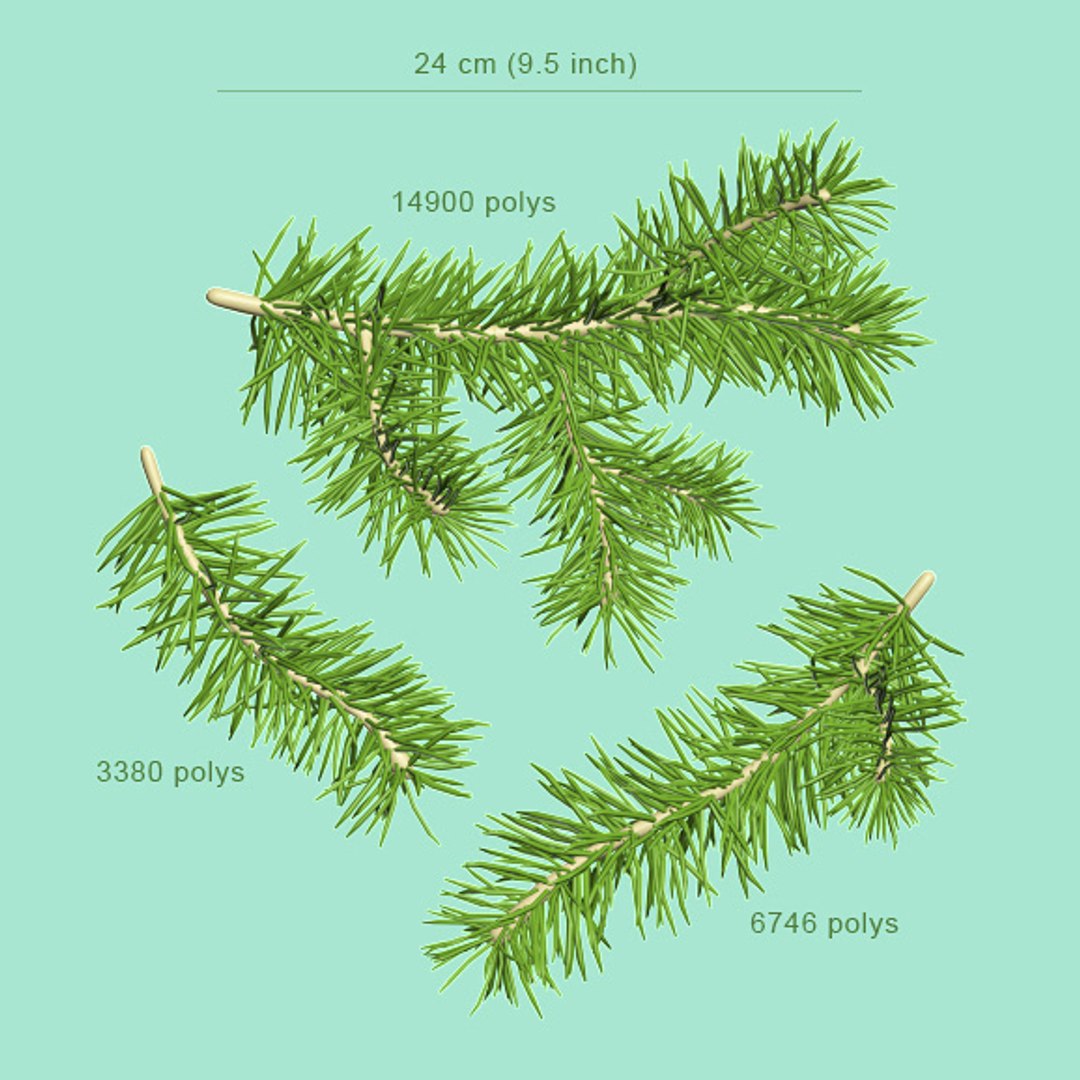 Fir Branches 3d Model