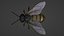 Abeja Mecha