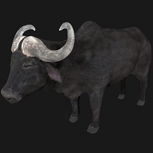 Buffalo Rigged Low Poly