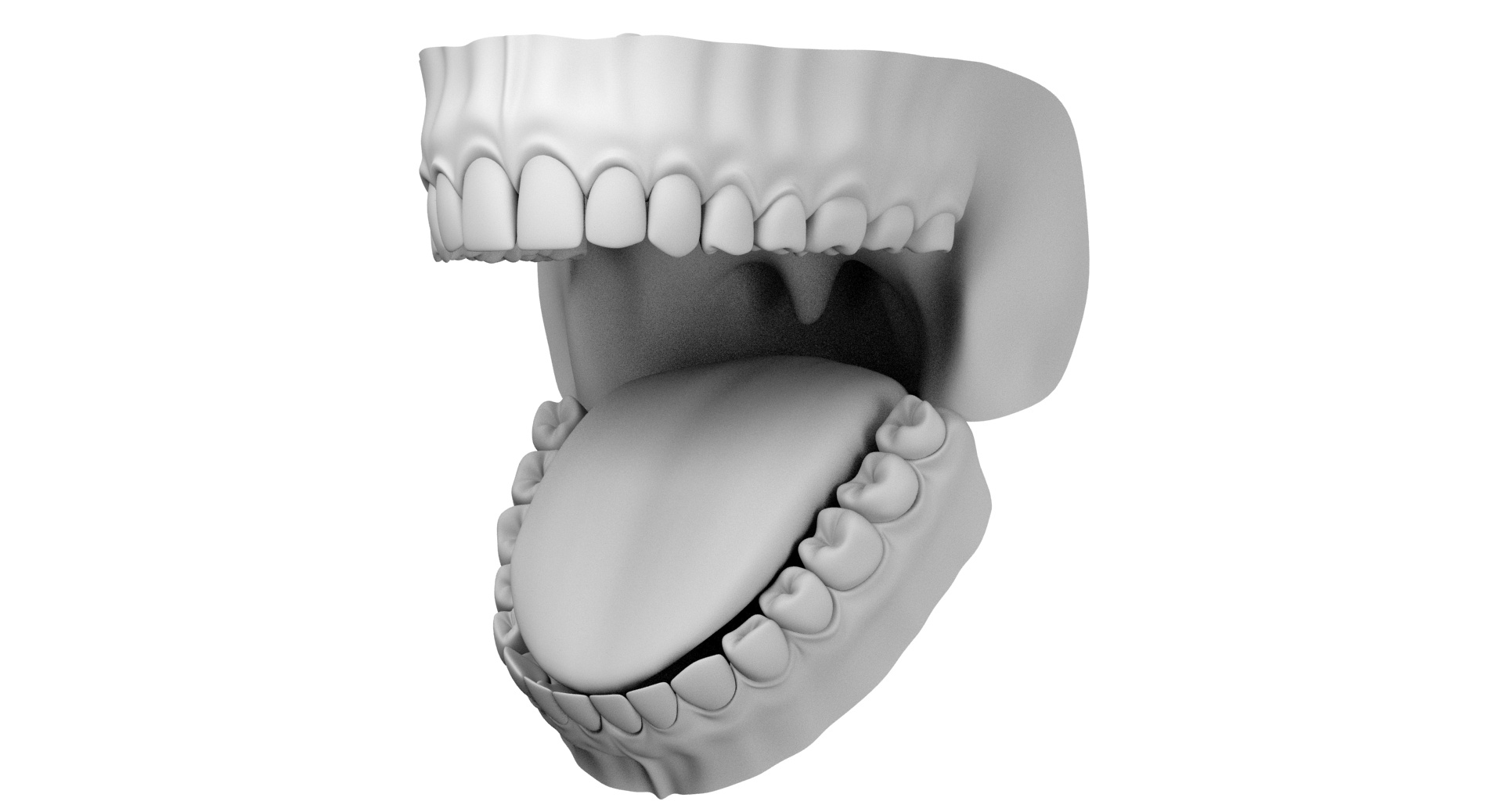 3d model jaw