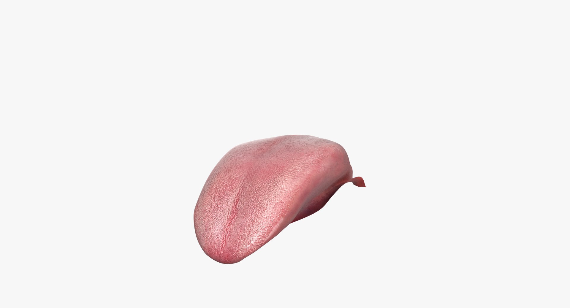 3d model jaw https://p.turbosquid.com/ts-thumb/1E/AhHcLn/BjVGZEqe/1_4/jpg/1471586645/1920x1080/fit_q87/a8a5e0824a42b94325f0bf5e5d7ac6f5407245b9/1_4.jpg
