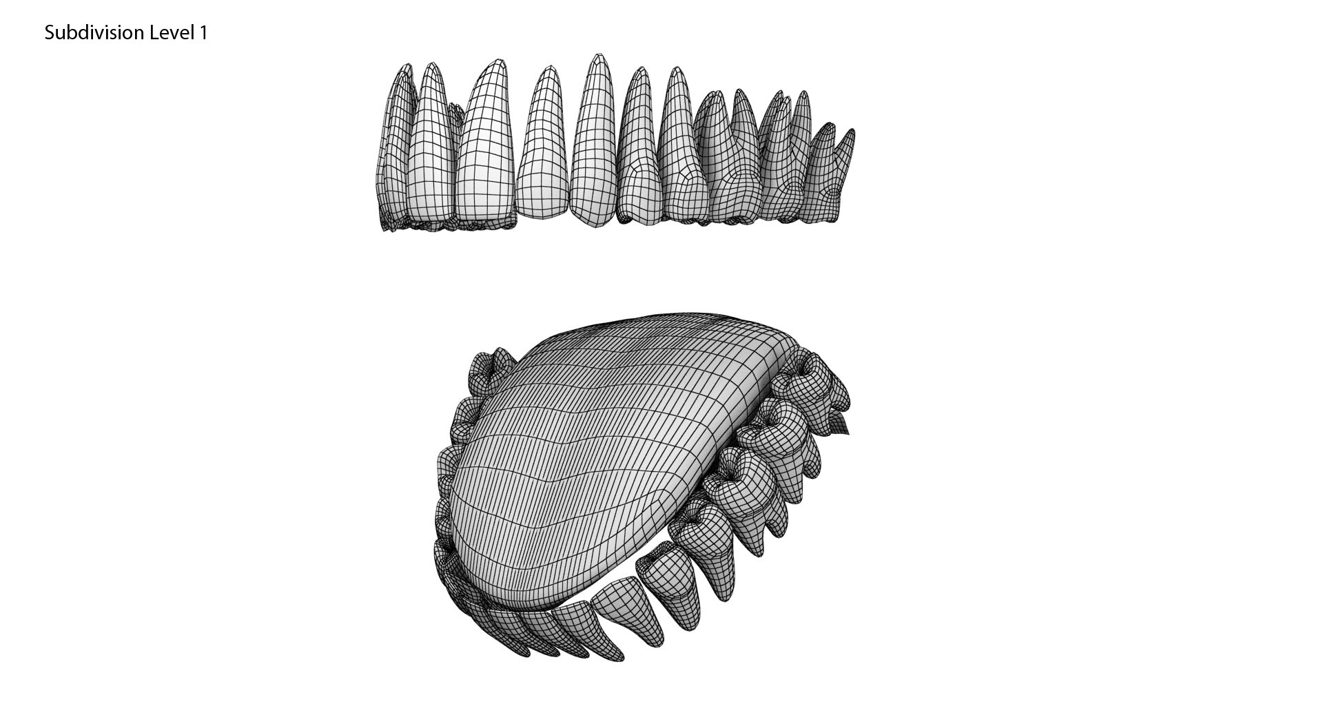 3d model jaw https://p.turbosquid.com/ts-thumb/1E/AhHcLn/CWGjipqd/10/jpg/1471586645/1920x1080/fit_q87/6f1532ad42b1a5e5010481492e7c8719fb7142ad/10.jpg