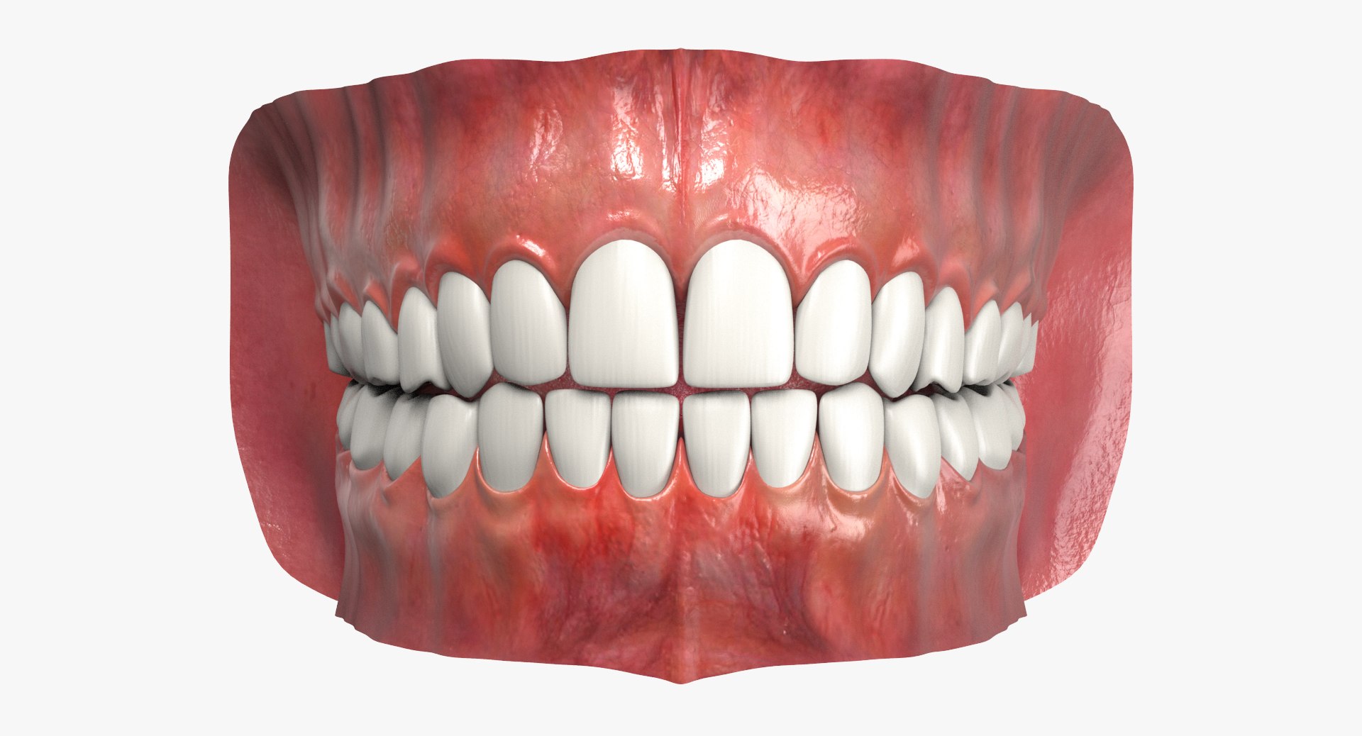 3d model jaw https://p.turbosquid.com/ts-thumb/1E/AhHcLn/GotYtJxE/4/jpg/1471586645/1920x1080/fit_q87/b52d4b5fc4dd740429a16de8461a4bd845225aee/4.jpg