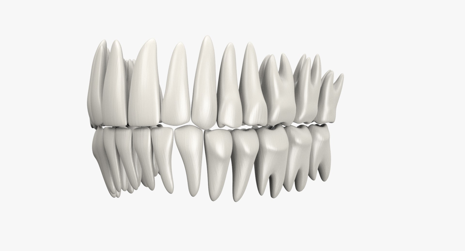 3d model jaw https://p.turbosquid.com/ts-thumb/1E/AhHcLn/Jsv66Ewu/2_1/jpg/1471586645/1920x1080/fit_q87/94a7cf6e0f66b4d23a2b5a0cddd5f5a831ad9112/2_1.jpg