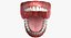 Jaw